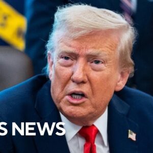 Trump alleges Fed Reserve Governor Lisa Cook committed mortgage fraud