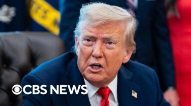Trump alleges Fed Reserve Governor Lisa Cook committed mortgage fraud
