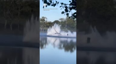 No injuries after firefighting helicopter in France crashes into pond #shorts