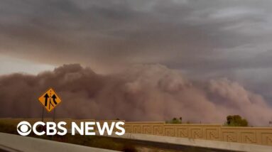 Videos show massive dust storm engulfing Phoenix, Burning Man festival
