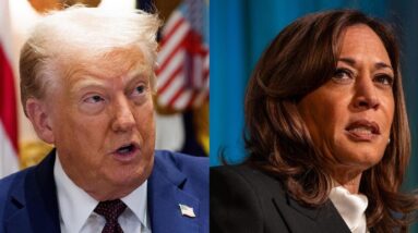Why did Trump revoke Kamala Harris' Secret Service protection?