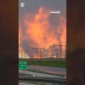 Wildfire in Florida scorches over 40,000 acres in the Everglades #shorts