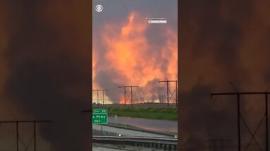 Wildfire in Florida scorches over 40,000 acres in the Everglades #shorts