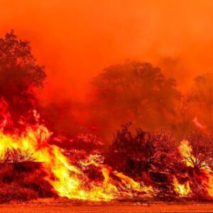 Wildfires force evacuations across Western U.S.