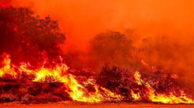 Wildfires force evacuations across Western U.S.