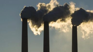 Young climate activists sue Trump administration over orders promoting fossil fuels