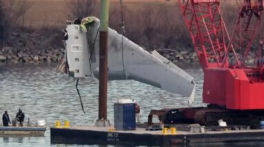 Widow of D.C. plane crash victim files wrongful death lawsuit against government, airlines