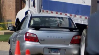 ICE agent shoots and kills a man who tried to drive into agents, authorities say