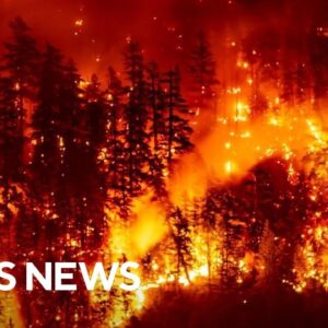 Climate-driven wildfires reversing clean air progress in U.S. and Canada, report finds