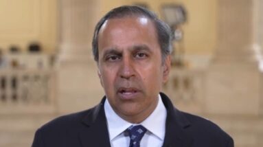 Rep. Raja Krishnamoorthi says lawmakers "want TikTok to survive" after Trump teases deal