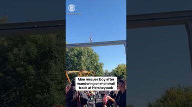Man rescues boy after wandering on monorail track at Hersheypark #shorts