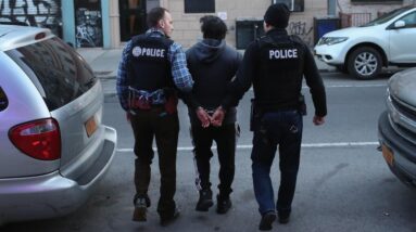 Democratic, Republican strategists on Trump administration's latest immigration, crime moves