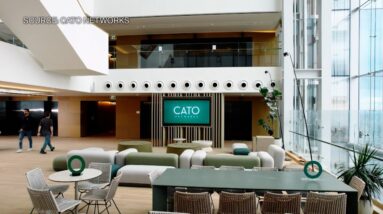 Cato Networks to Buy AI Security Startup