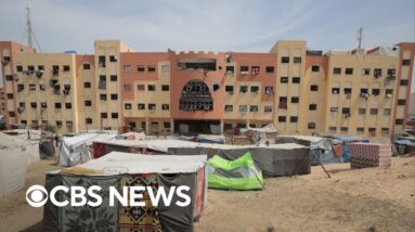 Gaza City professor on education in a warzone: "battle for survival"