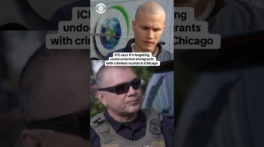 ICE says it's targeting undocumented immigrants with criminal records in Chicago #shorts