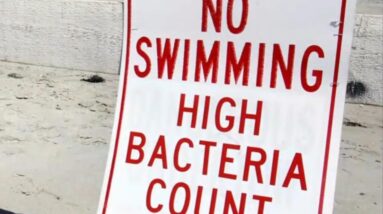 Hundreds of beaches closed for Labor Day over bacteria concerns