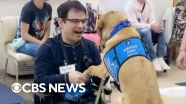 Disability advocate says Uber drivers frequently refuse to pick him and his service dog up