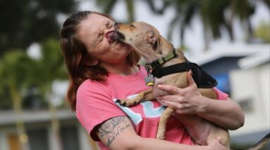 Some colleges allowing pets to live in dorms to reduce stress, anxiety