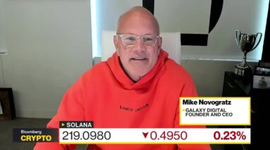 Stocks Are in a 'Euphoric Moment,' Says Novogratz