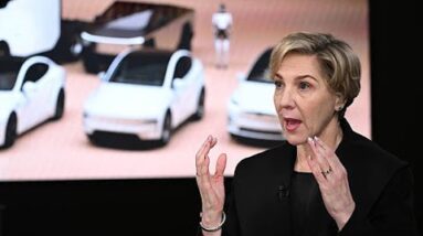 Tesla Chair on Musk's Pay, Succession Plans, Politics