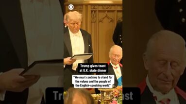 Trump gives toast at U.K. state dinner #shorts