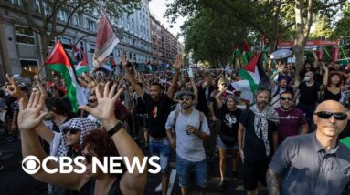 Watch: Gaza protests shut down Spanish Vuelta