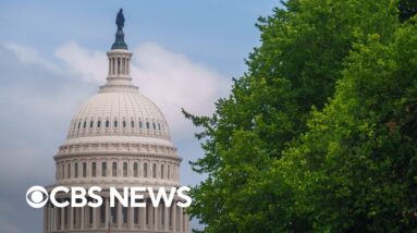 Watch Live: Senate committee holds hearing on harm of AI chatbots