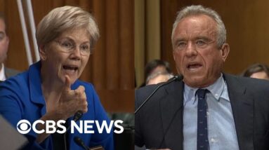 Watch: Warren and RFK Jr. clash over vaccine access