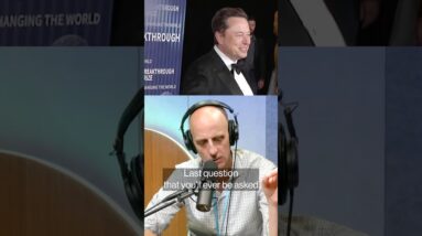What kind of company could Elon Musk start next?