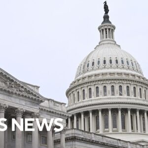 Who benefits from a government shutdown?