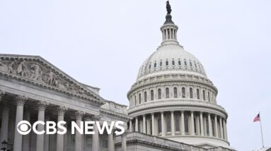 Who benefits from a government shutdown?