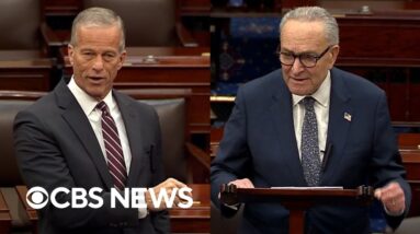 Thune says GOP "more than happy" to talk health care, Schumer calls Trump "heartless" for SNAP halt