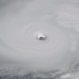 10/28: The Daily Report