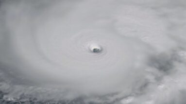 10/28: The Daily Report
