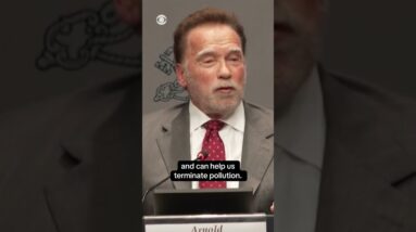 Actor and former California Governor Arnold Schwarzenegger speaks at the Vatican #shorts