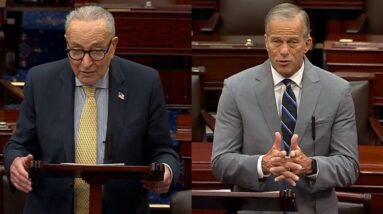 Watch: Schumer, Thune speak on Senate floor on Day 8 of government shutdown