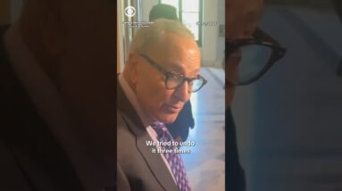 Schumer says GOP falsely claiming Dems want free health care for undocumented immigrants #shorts