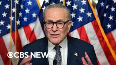 Democrats to introduce bill that would fund SNAP, Schumer says