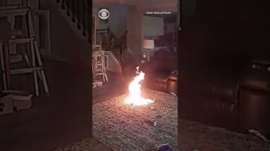 Fire chief's dog accidentally ignites fire after getting hold of lithium-ion battery #shorts