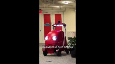 DoorDash Unveils Delivery Robot Named Dot
