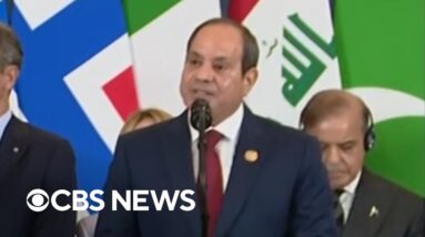 Egyptian president reacts to peace deal during Trump visit