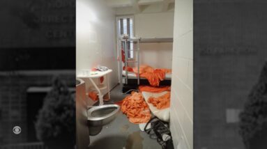 Cell where Jeffrey Epstein died never underwent proper inspection, experts say