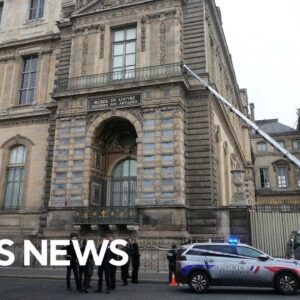 Experts on the Louvre Museum heist