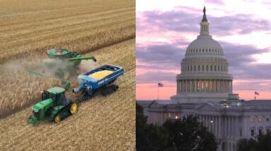 Farmers "are very concerned" about government shutdown, union leader says