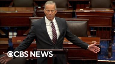Watch: Thune gives fiery speech while objecting to Democratic bill to fund SNAP, WIC