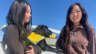 Goodyear Blimp delivers future service dogs to new homes