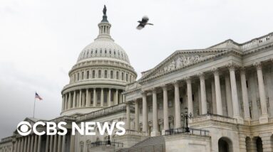 Government shutdown's impact on WIC