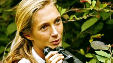 Jane Goodall's friend remembers the animal advocate: "She is an inspiration for all of us"