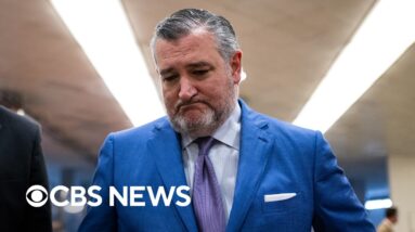 Cruz plans to introduce bill codifying protections against government censorship: WSJ