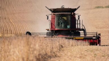 Iowa soybean farmer says "export to China just isn't there"